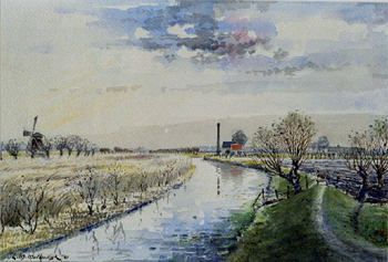 zichtopkoedood vanuit noord